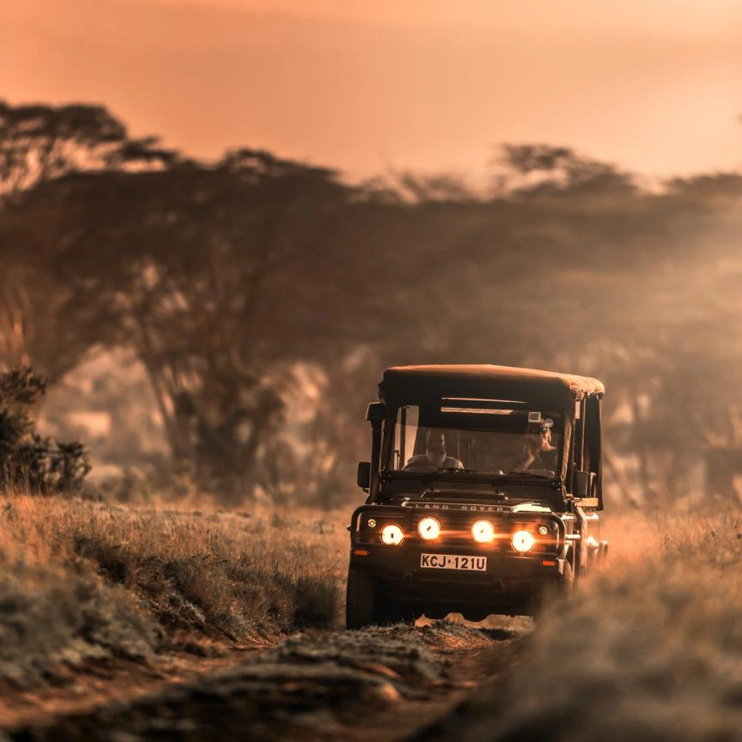 Safari vehicle on a dirt track.