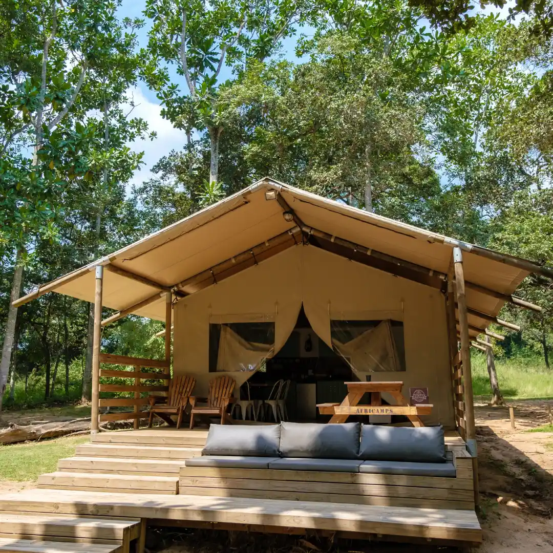 Glamping tent in the forest.