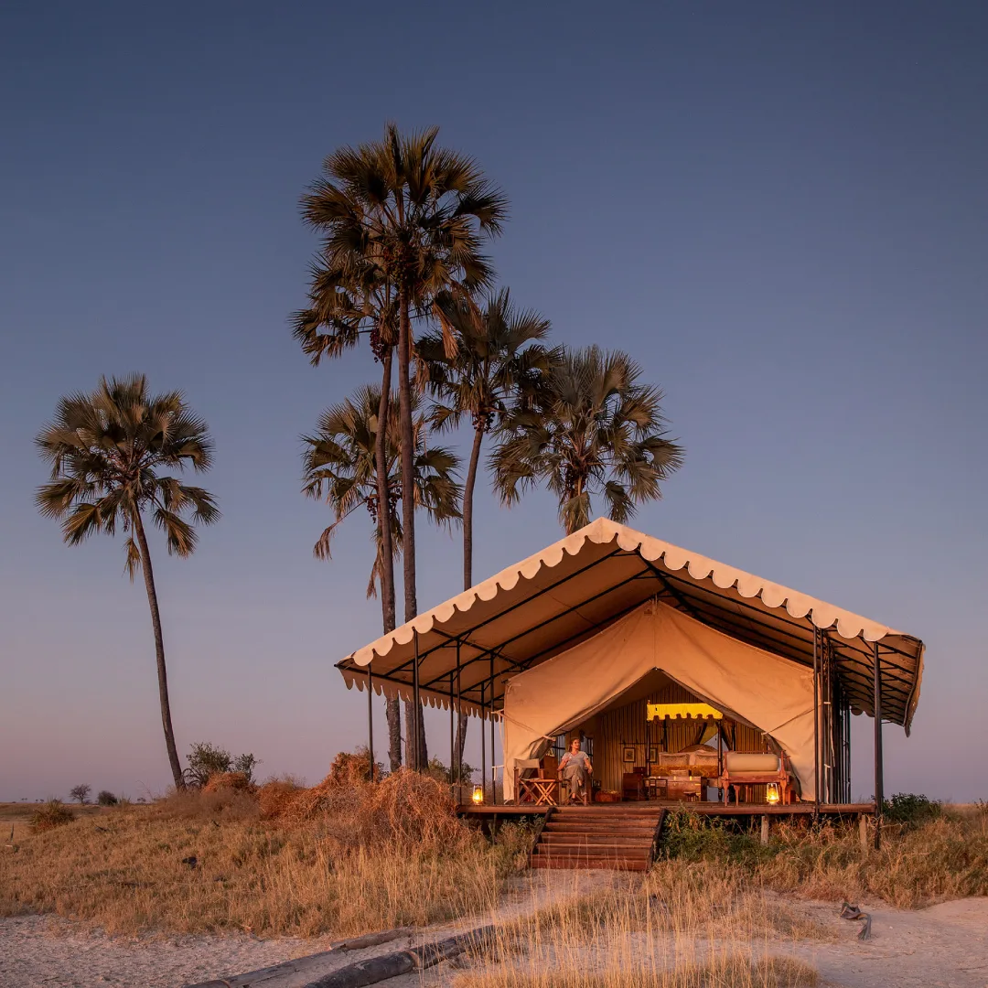 Safari tent at dusk.