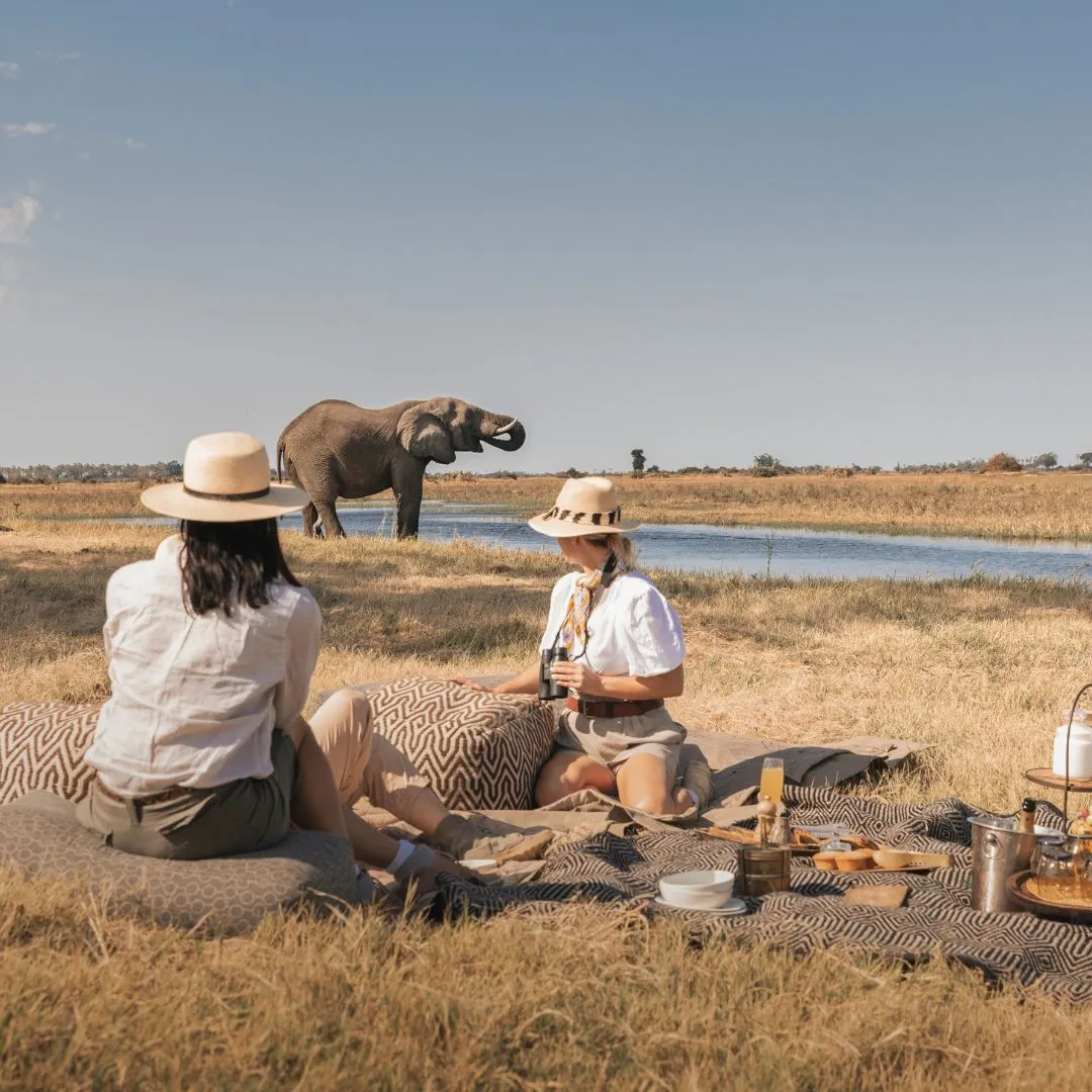 Two women having a luxury safari picnic while watching an elephant near a river.