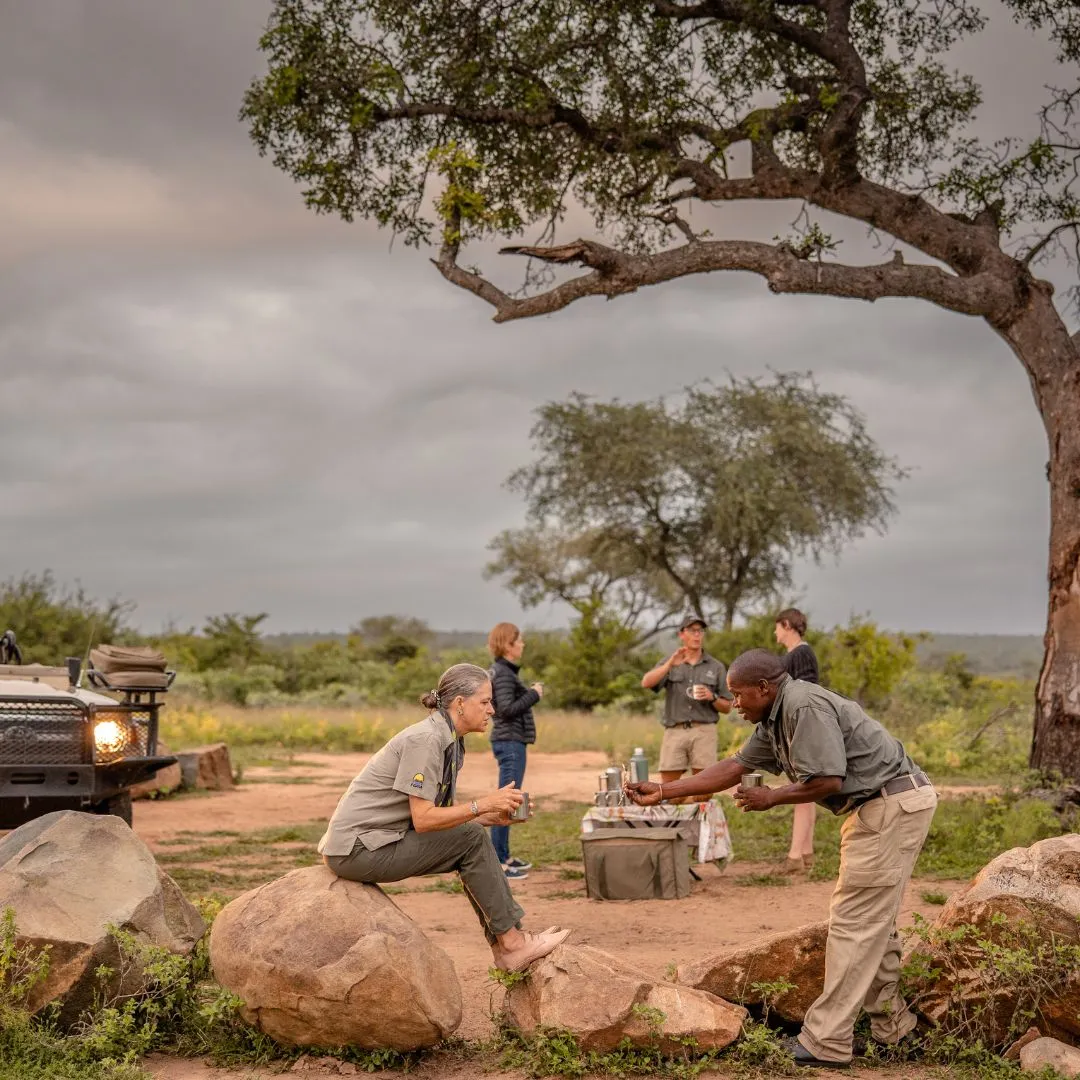Safari guests and guides enjoying a coffee break in the bush near a safari vehicle.